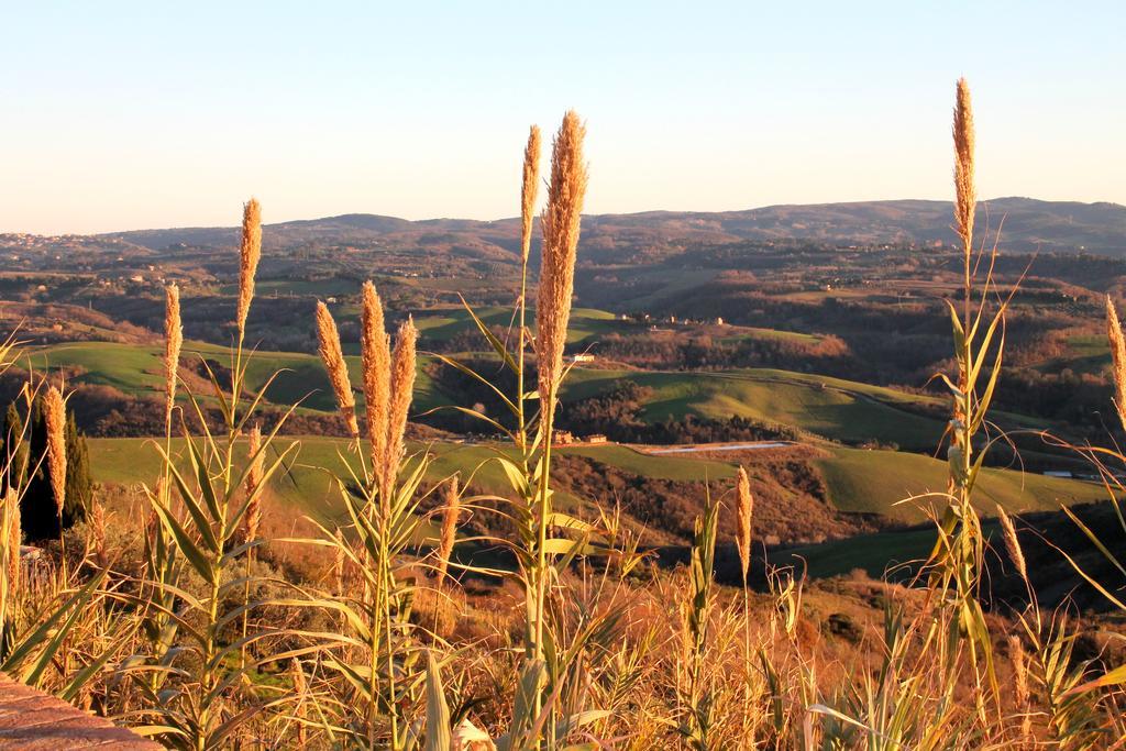 Agriturismo Le Docce Castelfiorentino Dış mekan fotoğraf
